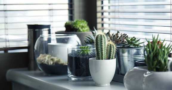decoration interieure